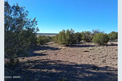 68 N 8171, Concho, AZ 85924 - Photo 8