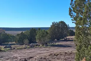 68 N 8171, Concho, AZ 85924 - Photo 1