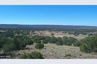 41 Indian Drive, Concho, AZ 85924 - Photo 1