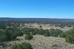 41 Indian Dr, Concho, AZ 85924 - Photo 1