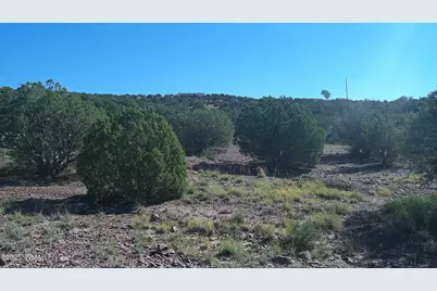 41 Indian Drive, Concho, AZ 85924 - Photo 28