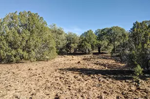 1841 Rocky Bottom Pl, Show Low, AZ 85901 - Photo 1