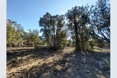 1841 Rocky Bottom Place, Show Low, AZ 85901 - Photo 8