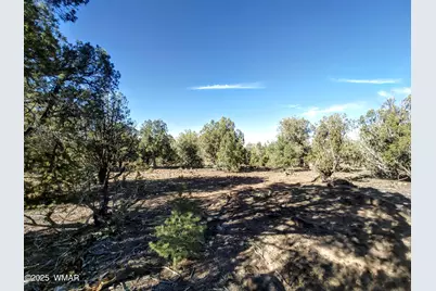 1841 Rocky Bottom Place, Show Low, AZ 85901 - Photo 4