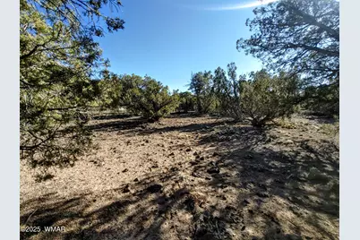 1841 Rocky Bottom Place, Show Low, AZ 85901 - Photo 10