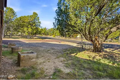 1579 Greentree Circle, Heber, AZ 85928 - Photo 10