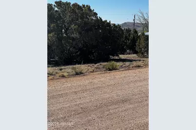 58 Short Lane, Concho, AZ 85924 - Photo 2