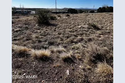 58 Short Lane, Concho, AZ 85924 - Photo 4