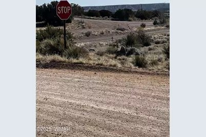 58 Short Lane, Concho, AZ 85924 - Photo 6