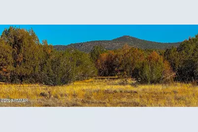 0 Johnny Ridge Rd 37 Acres, Seligman, AZ 86337 - Photo 10