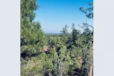 1610 W Snow Creek Trail, Show Low, AZ 85901 - Photo 2