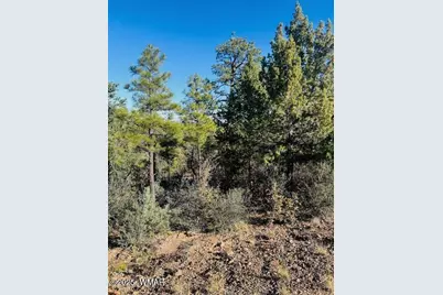 1610 W Snow Creek Trail, Show Low, AZ 85901 - Photo 4