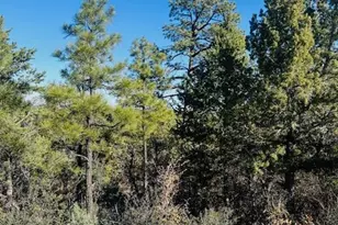 1610 W Snow Creek Trail, Show Low, AZ 85901 - Photo 1