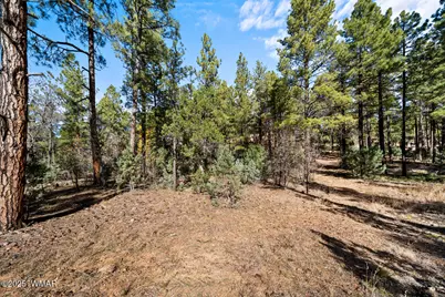 1521 S Little Leaf Lane, Show Low, AZ 85901 - Photo 4