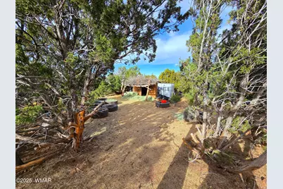 32 &amp; 34 Co Rd N8172, Concho, AZ 85924 - Photo 62