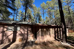 2842 Gold Dust Trail, Show Low, AZ 85901 - Photo 24