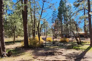 2842 Gold Dust Trail, Show Low, AZ 85901 - Photo 30