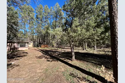 2842 Gold Dust Trail, Show Low, AZ 85901 - Photo 34
