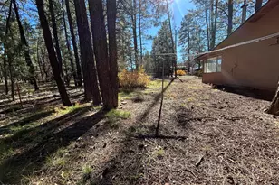 2842 Gold Dust Trail, Show Low, AZ 85901 - Photo 32