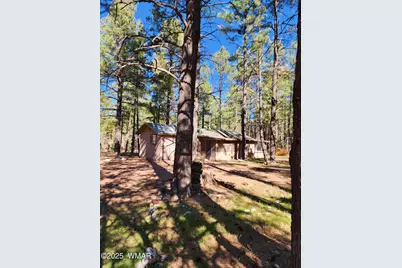 2842 Gold Dust Trail, Show Low, AZ 85901 - Photo 2
