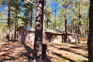 2842 Gold Dust Trail, Show Low, AZ 85901 - Photo 2