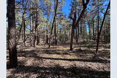 4041 S Gold Dust Trail, Show Low, AZ 85901 - Photo 12