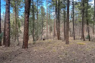 4041 S Gold Dust Trail, Show Low, AZ 85901 - Photo 1