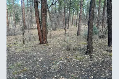 4041 S Gold Dust Trail, Show Low, AZ 85901 - Photo 2