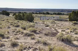 623C Lazy S Ranch Rd, Concho, AZ 85924 - Photo 32