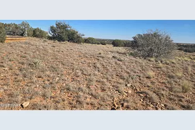 1565 Pumpkin Patch Road, Heber, AZ 85928 - Photo 8