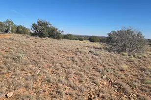 1565 Pumpkin Patch Rd, Heber, AZ 85928 - Photo 8