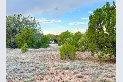 1821 Shumway Street, Show Low, AZ 85901 - Photo 10