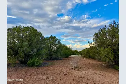1821 Shumway Street, Show Low, AZ 85901 - Photo 8