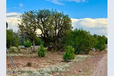 1825 Shumway Street, Show Low, AZ 85901 - Photo 14