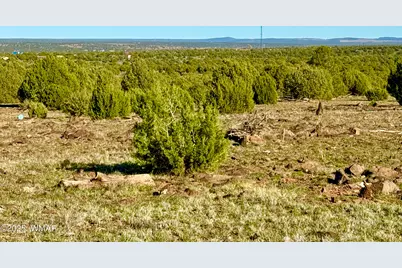 Tbd Mustang Ln Lot D &amp; E 4.8 Acres, Show Low, AZ 85901 - Photo 4