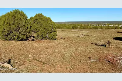 Tbd Mustang Ln Lot D &amp; E 4.8 Acres, Show Low, AZ 85901 - Photo 16