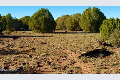 Tbd Mustang Ln Lot D &amp; E 4.8 Acres, Show Low, AZ 85901 - Photo 12