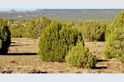Tbd Mustang Ln Lot D &amp; E 4.8 Acres, Show Low, AZ 85901 - Photo 6