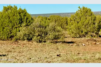 Tbd Mustang Ln Lot D &amp; E 4.8 Acres, Show Low, AZ 85901 - Photo 10