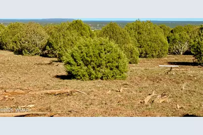 Tbd Mustang Ln Lot D &amp; E 4.8 Acres, Show Low, AZ 85901 - Photo 20