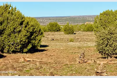 Tbd Mustang Ln Lot D &amp; E 4.8 Acres, Show Low, AZ 85901 - Photo 18