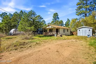 2056 Shot Gun Rd, Overgaard, AZ 85933 - Photo 2