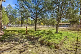 2056 Shot Gun Rd, Overgaard, AZ 85933 - Photo 20