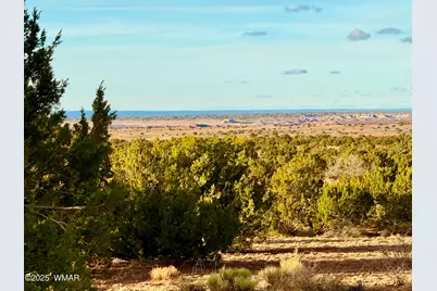 480 County Rd N6400, Saint Johns, AZ 85936 - Photo 14