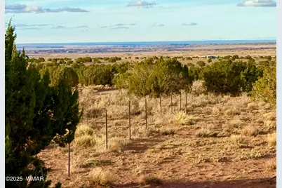 480 County Rd N6400, Saint Johns, AZ 85936 - Photo 12