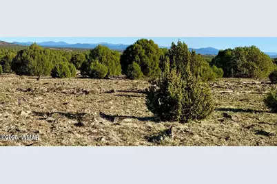 Tbd Mustang Ln Lots F &amp; H 5.5 Acre, Show Low, AZ 85901 - Photo 8