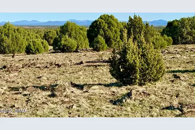 Tbd Mustang Ln Lots F &amp; H 5.5 Acre, Show Low, AZ 85901 - Photo 10