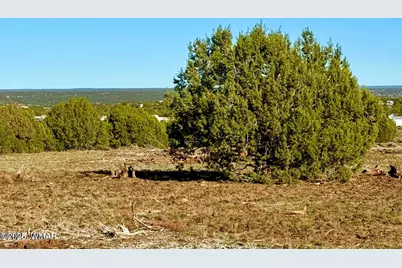 Tbd Mustang Ln Lots F &amp; H 5.5 Acre, Show Low, AZ 85901 - Photo 20