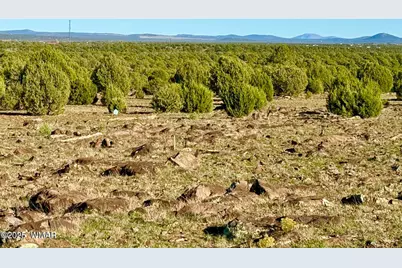 Tbd Mustang Ln Lots F &amp; H 5.5 Acre, Show Low, AZ 85901 - Photo 18