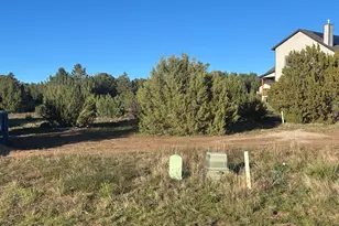 521 S Rockcreek Dr, Show Low, AZ 85901 - Photo 4